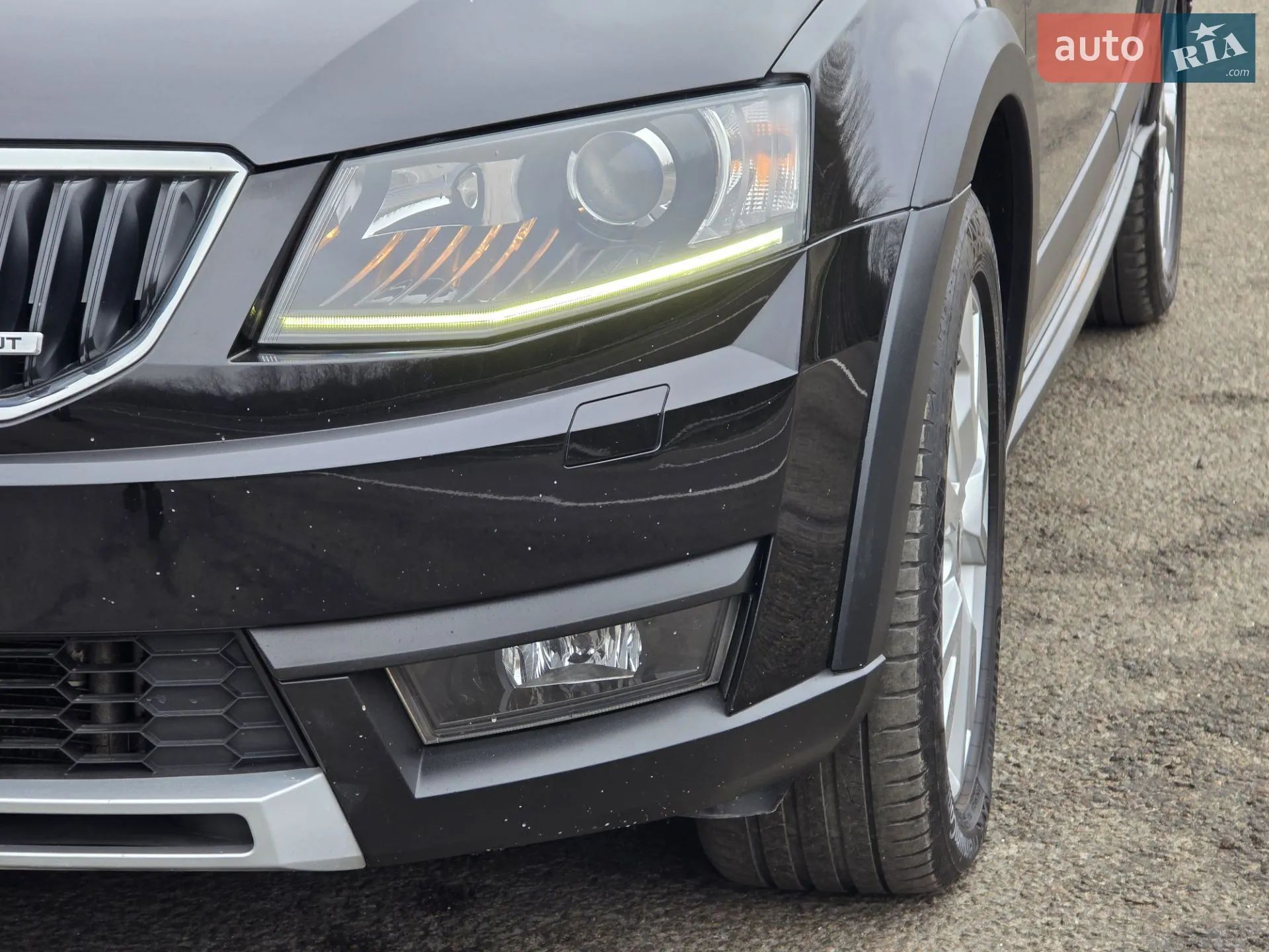 2015 Skoda Octavia - мініатюра 14