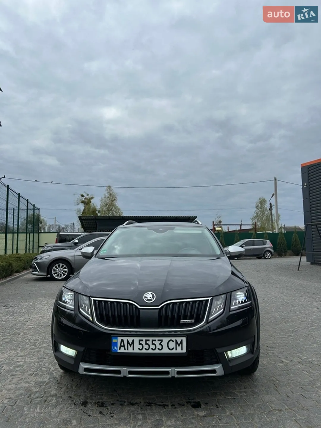 2019 Skoda Octavia - мініатюра 2