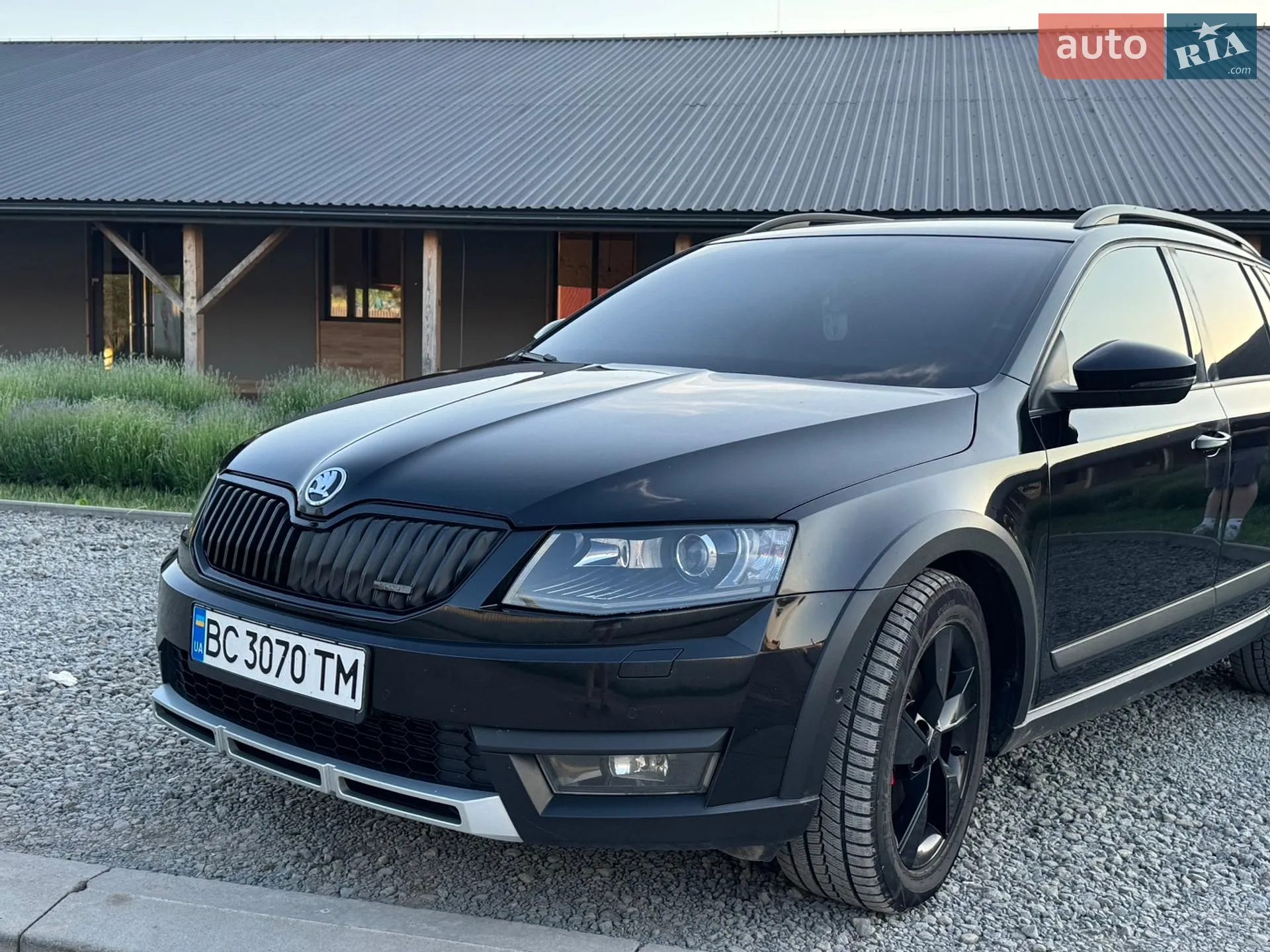 2014 Skoda Octavia - мініатюра 9