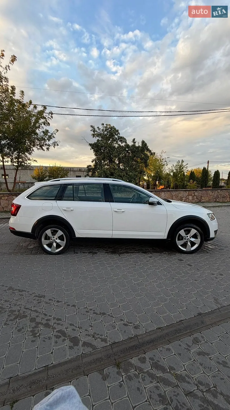 2017 Skoda Octavia - мініатюра 7