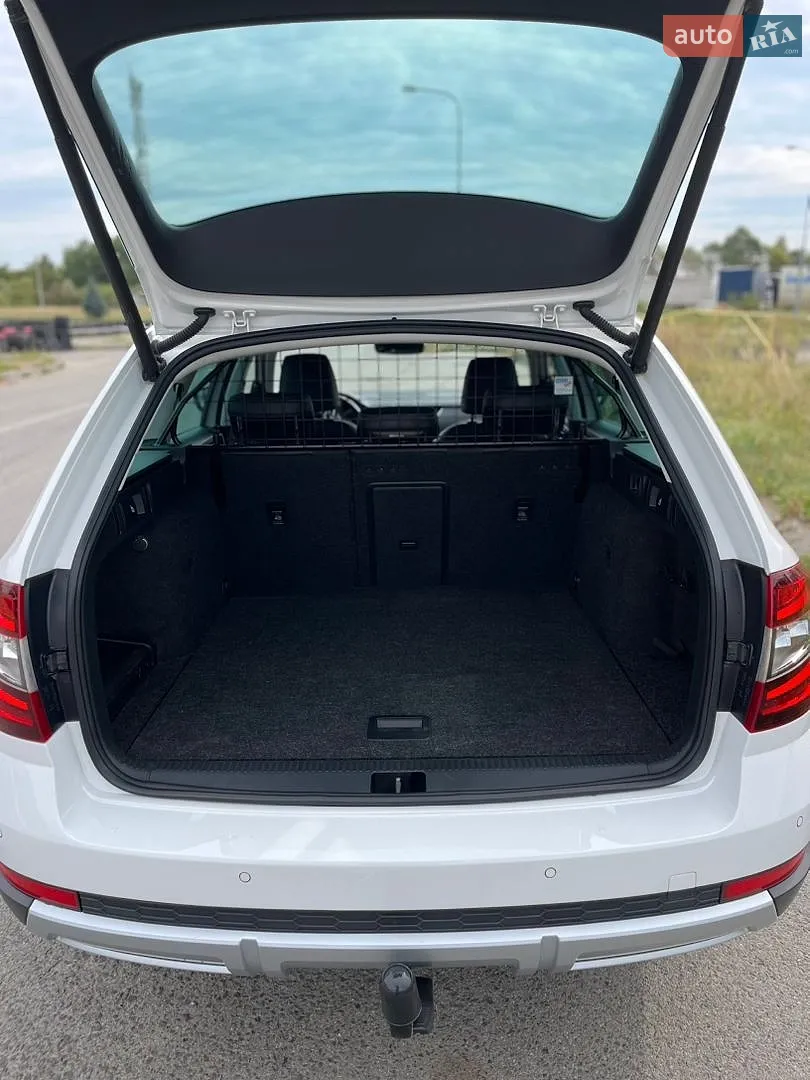 2019 Skoda Octavia - мініатюра 11