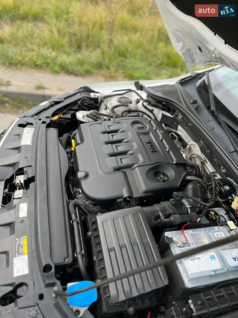 2019 Skoda Octavia - мініатюра 16