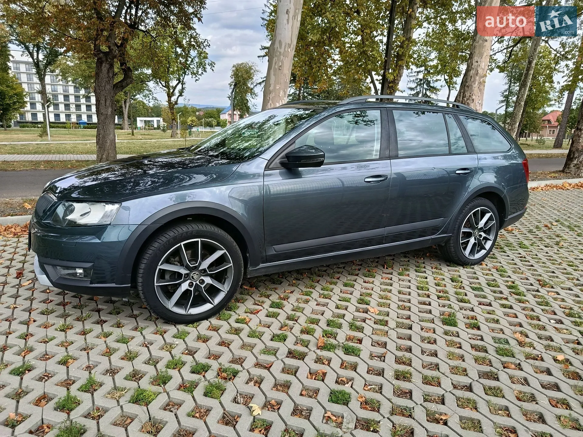 2015 Skoda Octavia - мініатюра 3