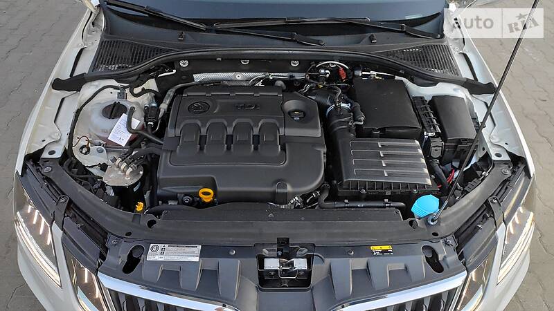 Універсал Skoda Octavia 2018 в Чернівцях фото 36 Універсал Skoda Octavia 2018 в Чернівцях