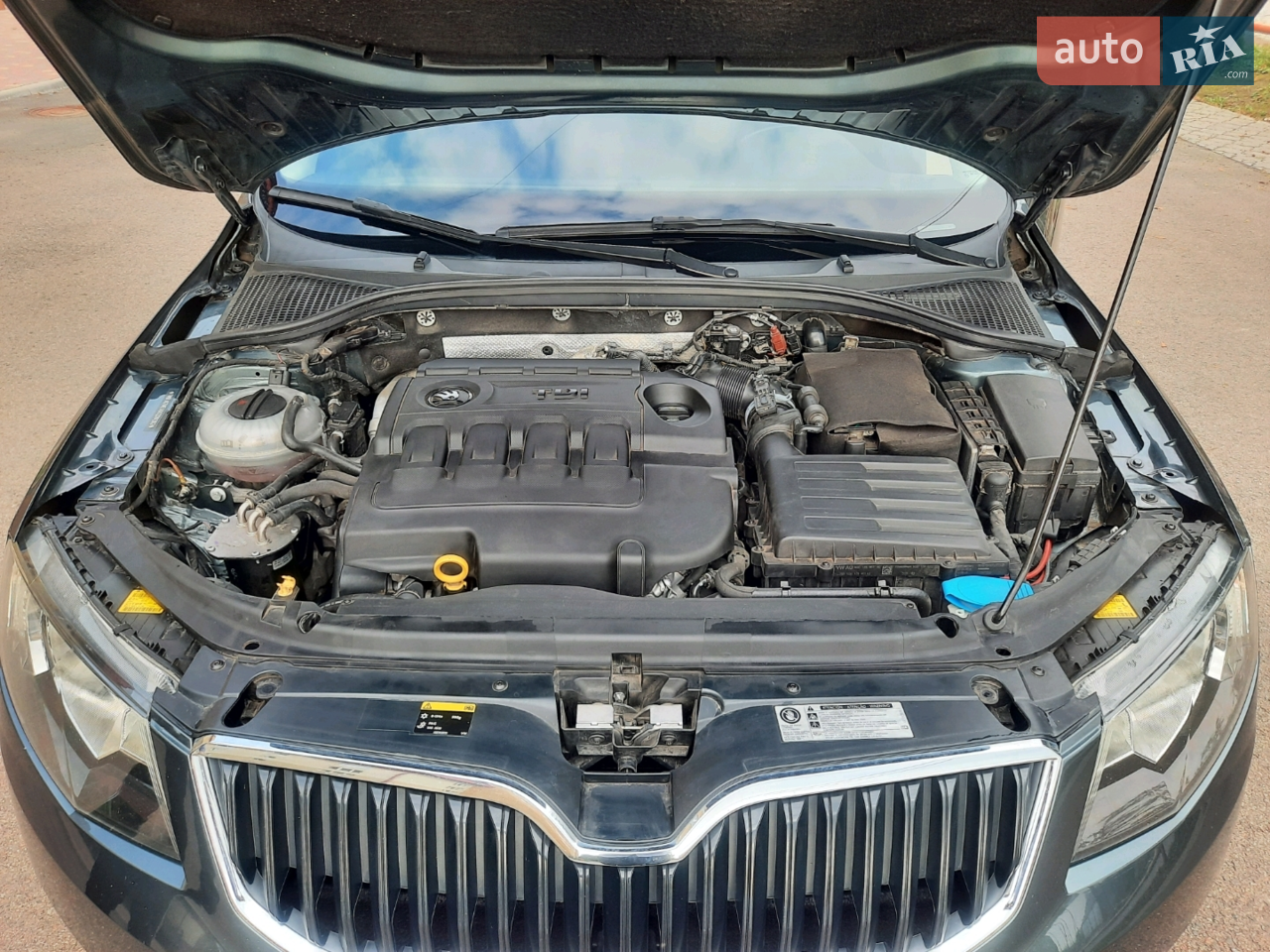 2016 Skoda Octavia - мініатюра 8