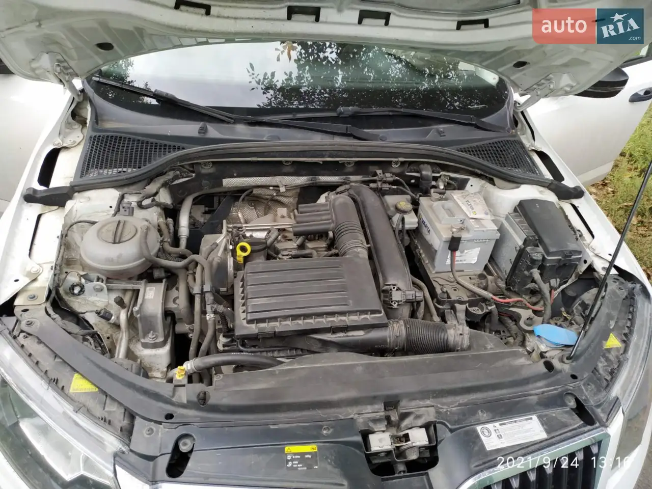 2014 Skoda Octavia - мініатюра 12