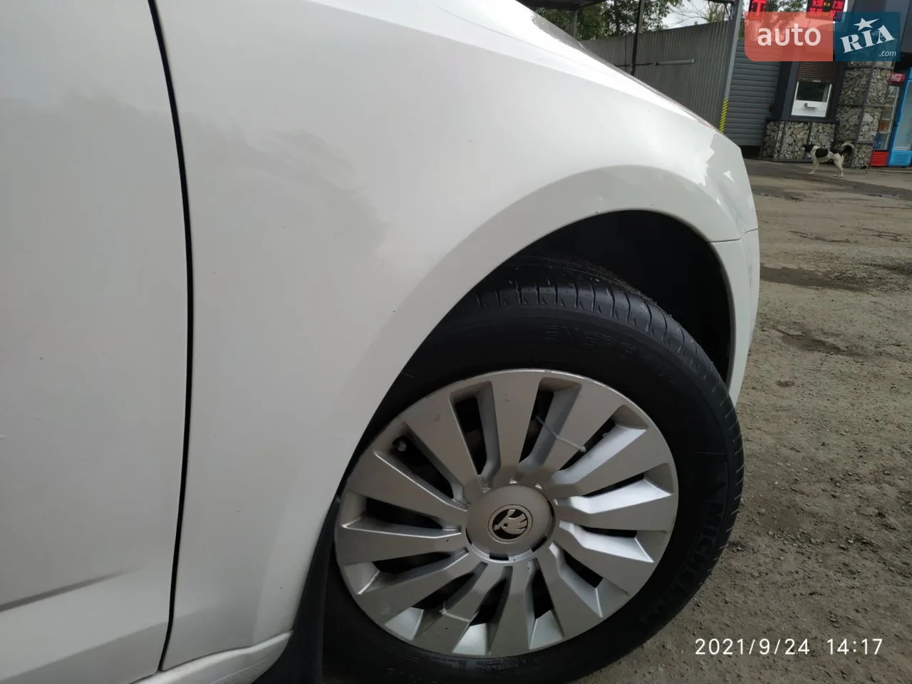 2014 Skoda Octavia - мініатюра 20