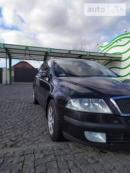 Універсал Skoda Octavia 2005 в Хмельницькому