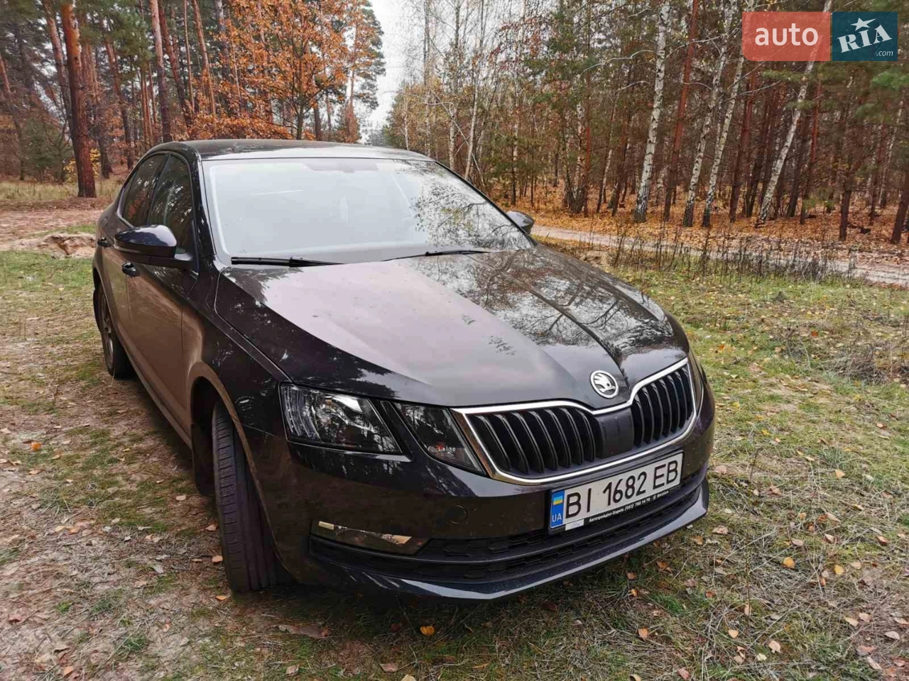 2019 Skoda Octavia - мініатюра 21