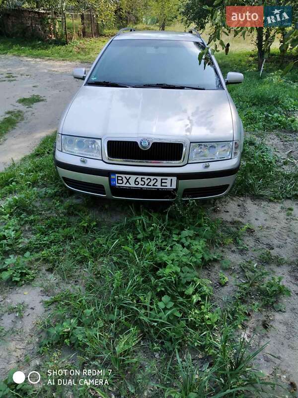 Универсал Skoda Octavia 2002 в Изяславе