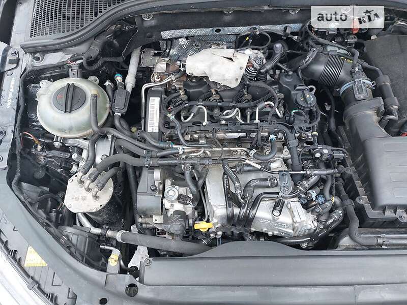 Лифтбек Skoda Octavia 2016 в Василькове фото 50 Лифтбек Skoda Octavia 2016 в Василькове