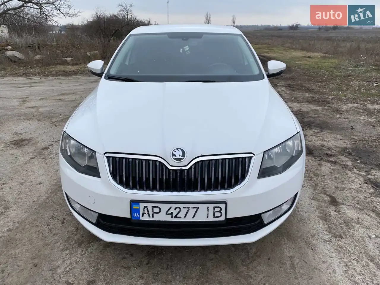 2013 Skoda Octavia - мініатюра 18