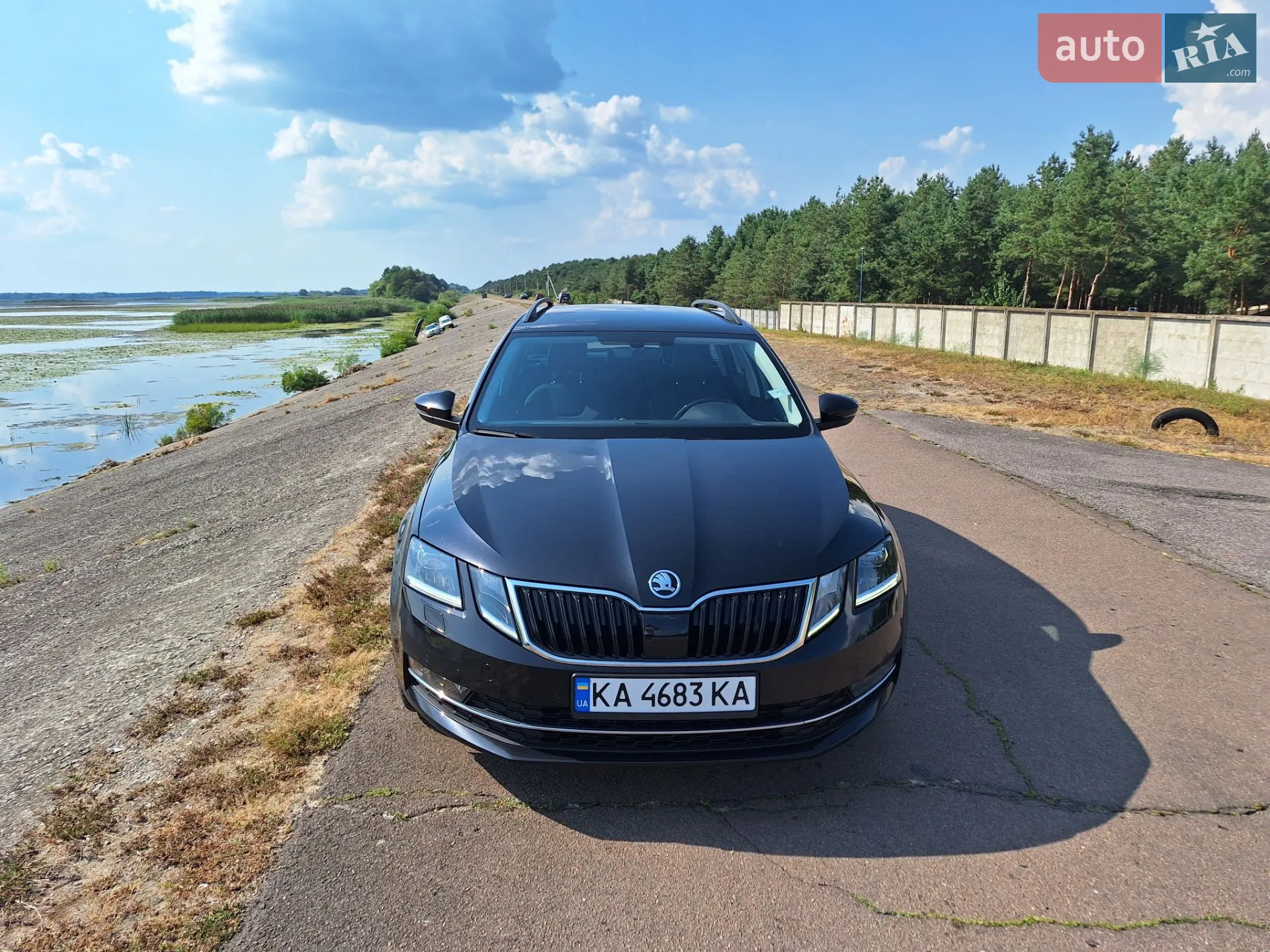 2017 Skoda Octavia - мініатюра 14