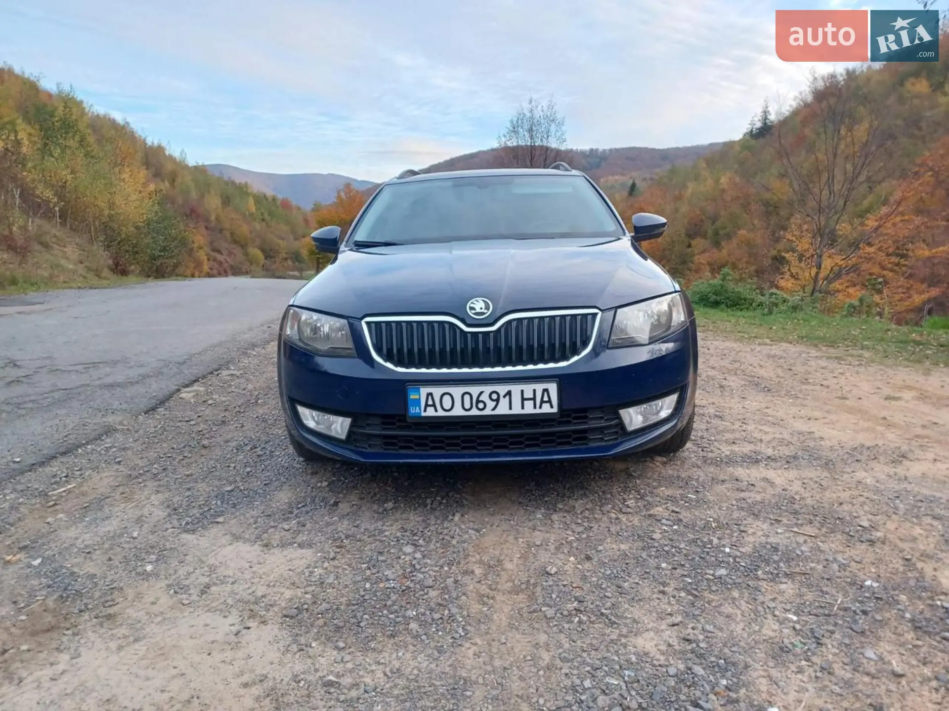 2013 Skoda Octavia - мініатюра 3