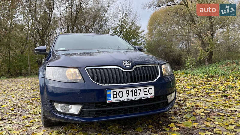 Лифтбек Skoda Octavia 2013 в Тернополе фото 30 Лифтбек Skoda Octavia 2013 в Тернополе