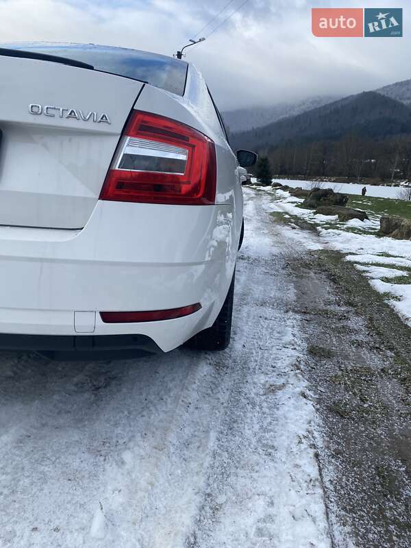 Лифтбек Skoda Octavia 2017 в Сколе фото 7 Лифтбек Skoda Octavia 2017 в Сколе