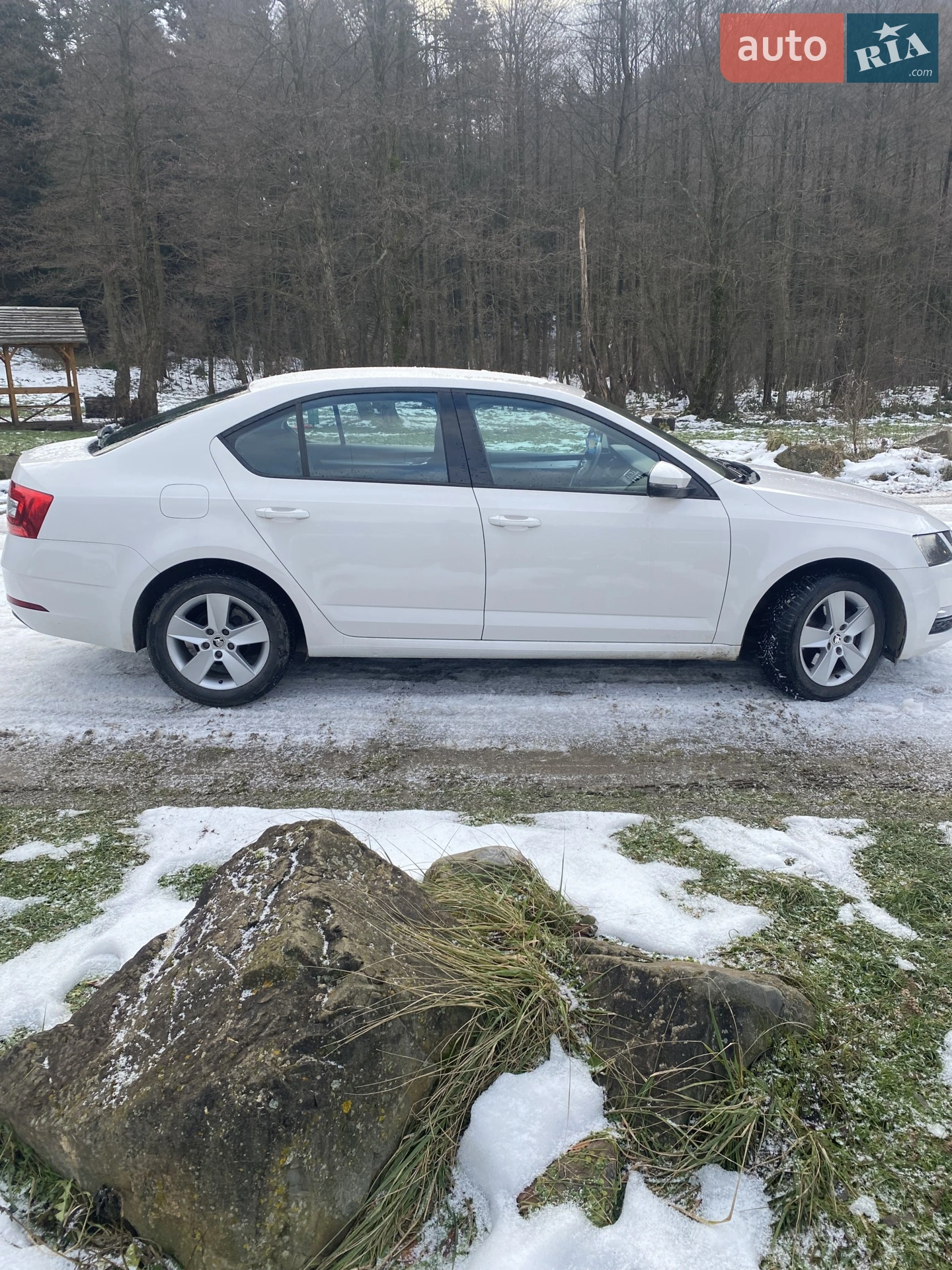 2017 Skoda Octavia - мініатюра 8