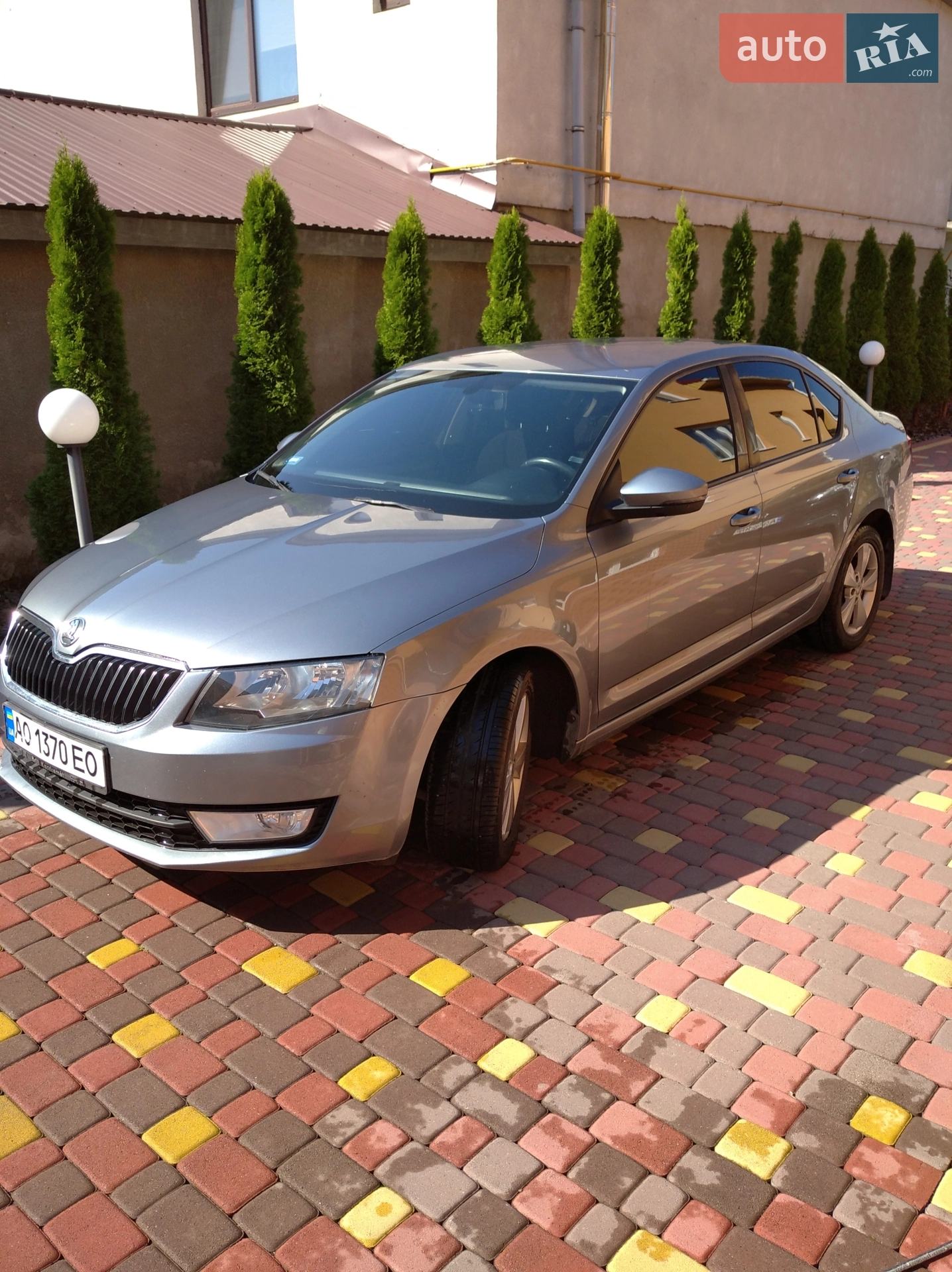 2013 Skoda Octavia - фото 1