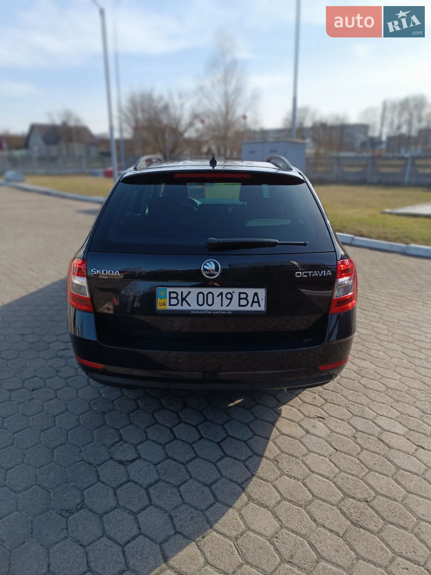2019 Skoda Octavia - мініатюра 4