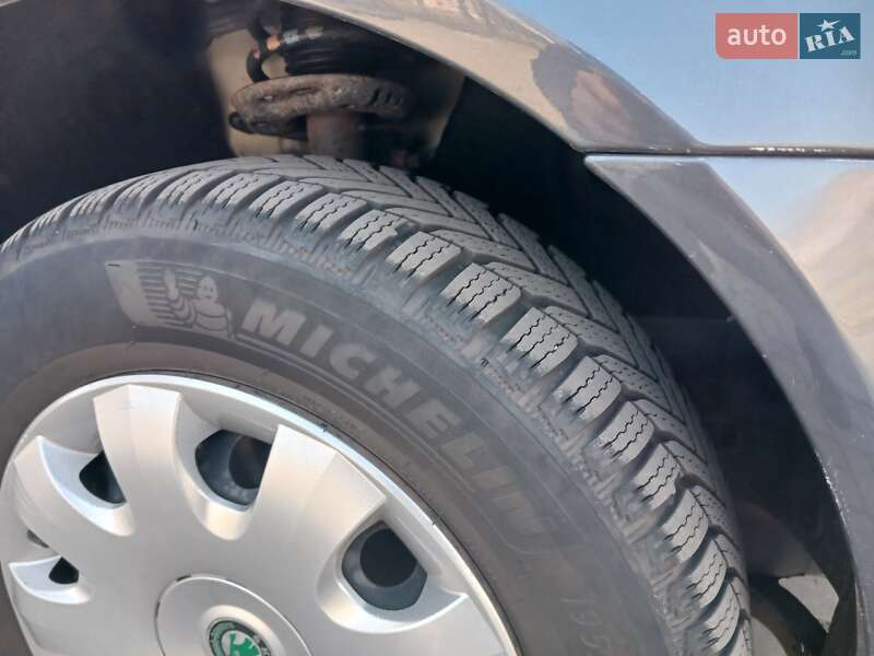 Універсал Skoda Octavia 2007 в Кривому Розі