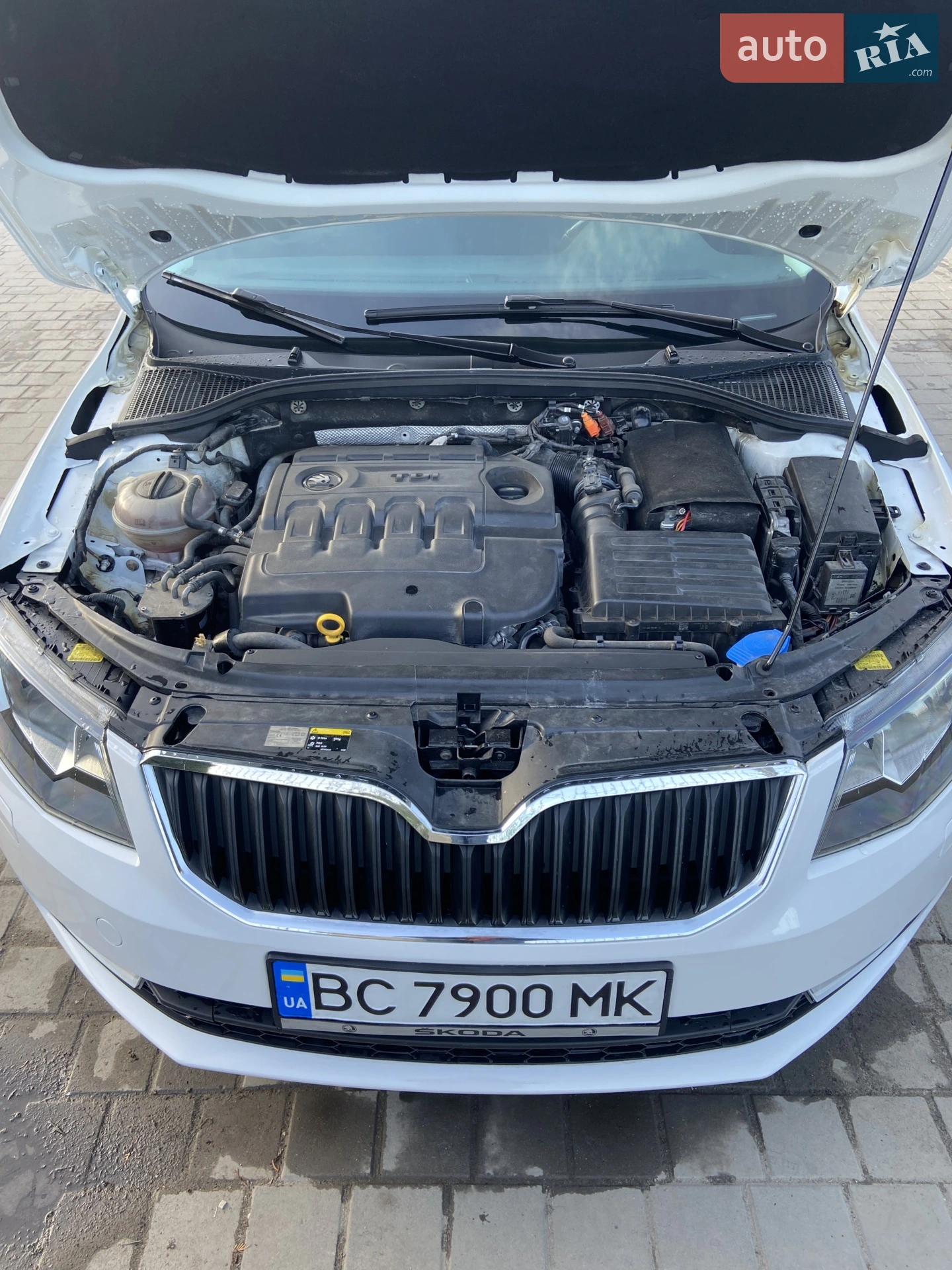 2013 Skoda Octavia - мініатюра 10