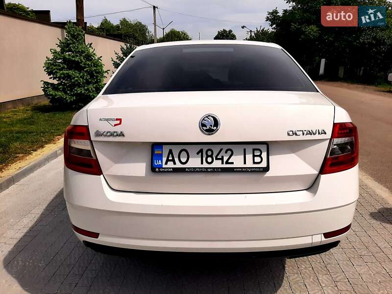 Лифтбек Skoda Octavia 2017 в Ужгороде