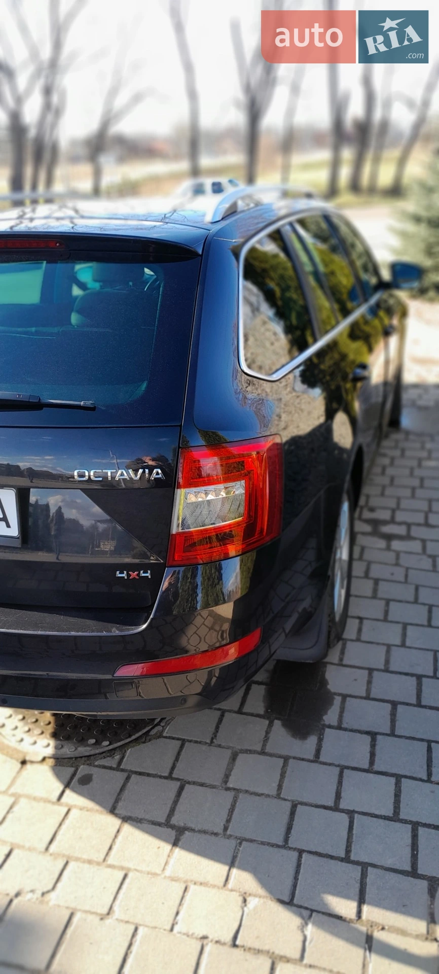2013 Skoda Octavia - мініатюра 3
