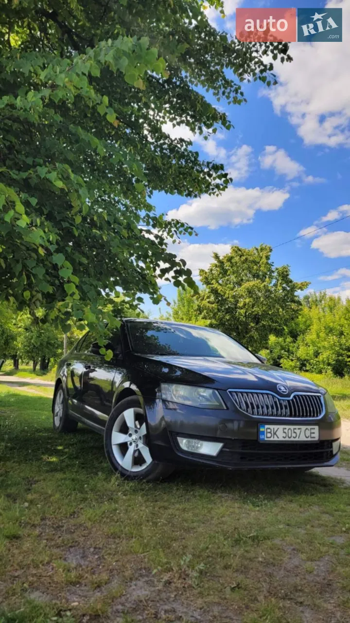 2017 Skoda Octavia - мініатюра 13