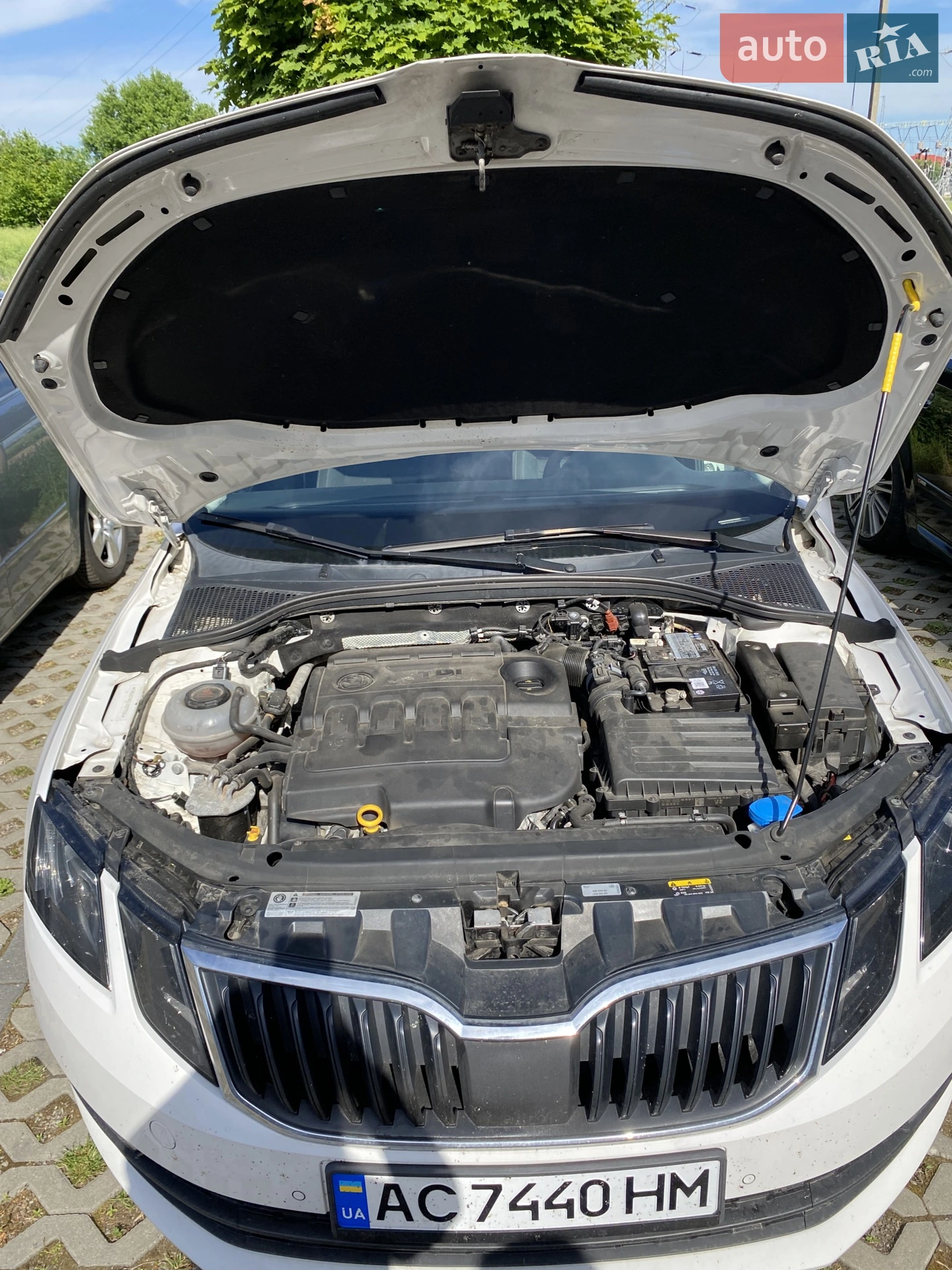 2018 Skoda Octavia - мініатюра 5