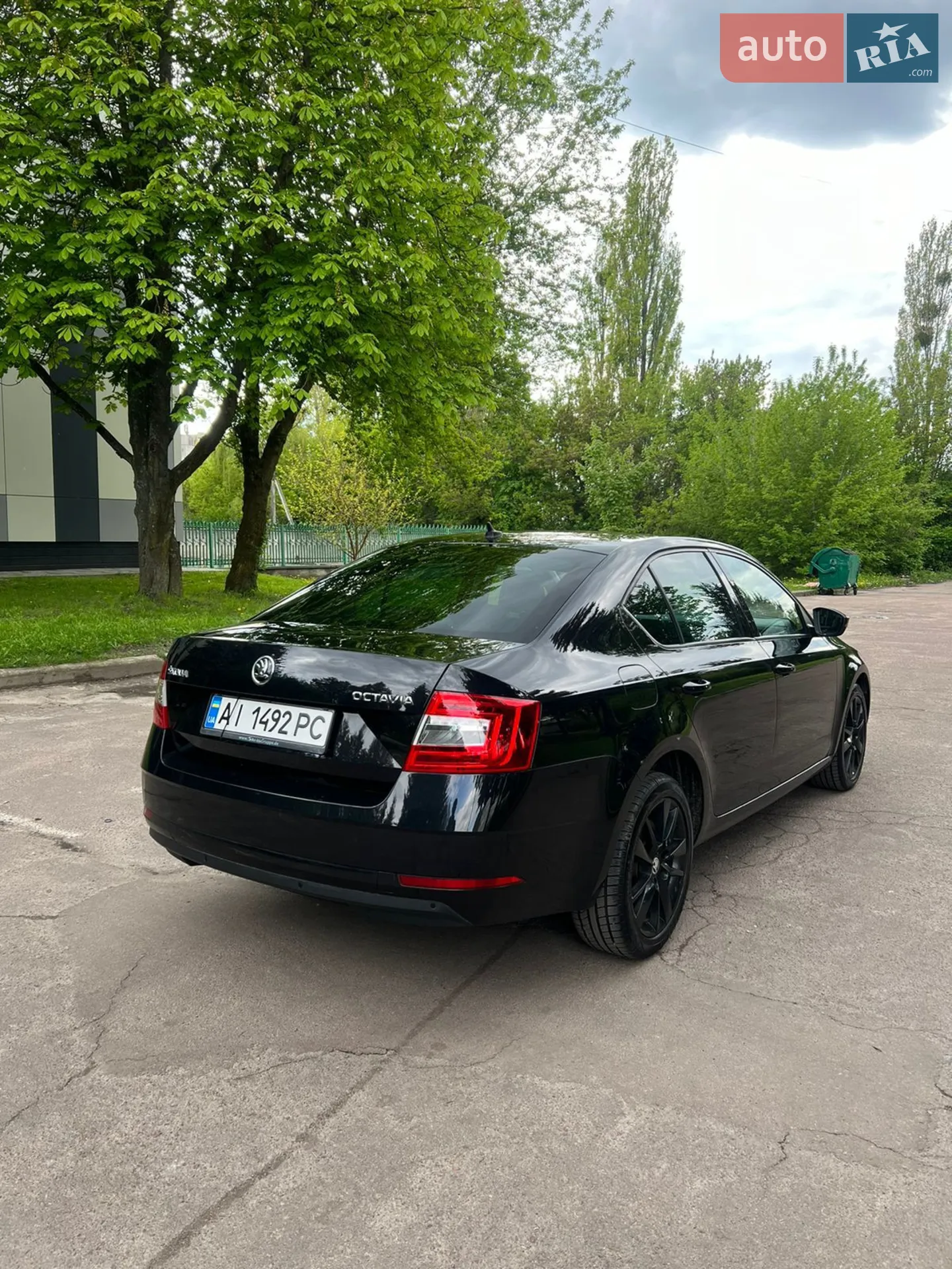 2019 Skoda Octavia - мініатюра 3
