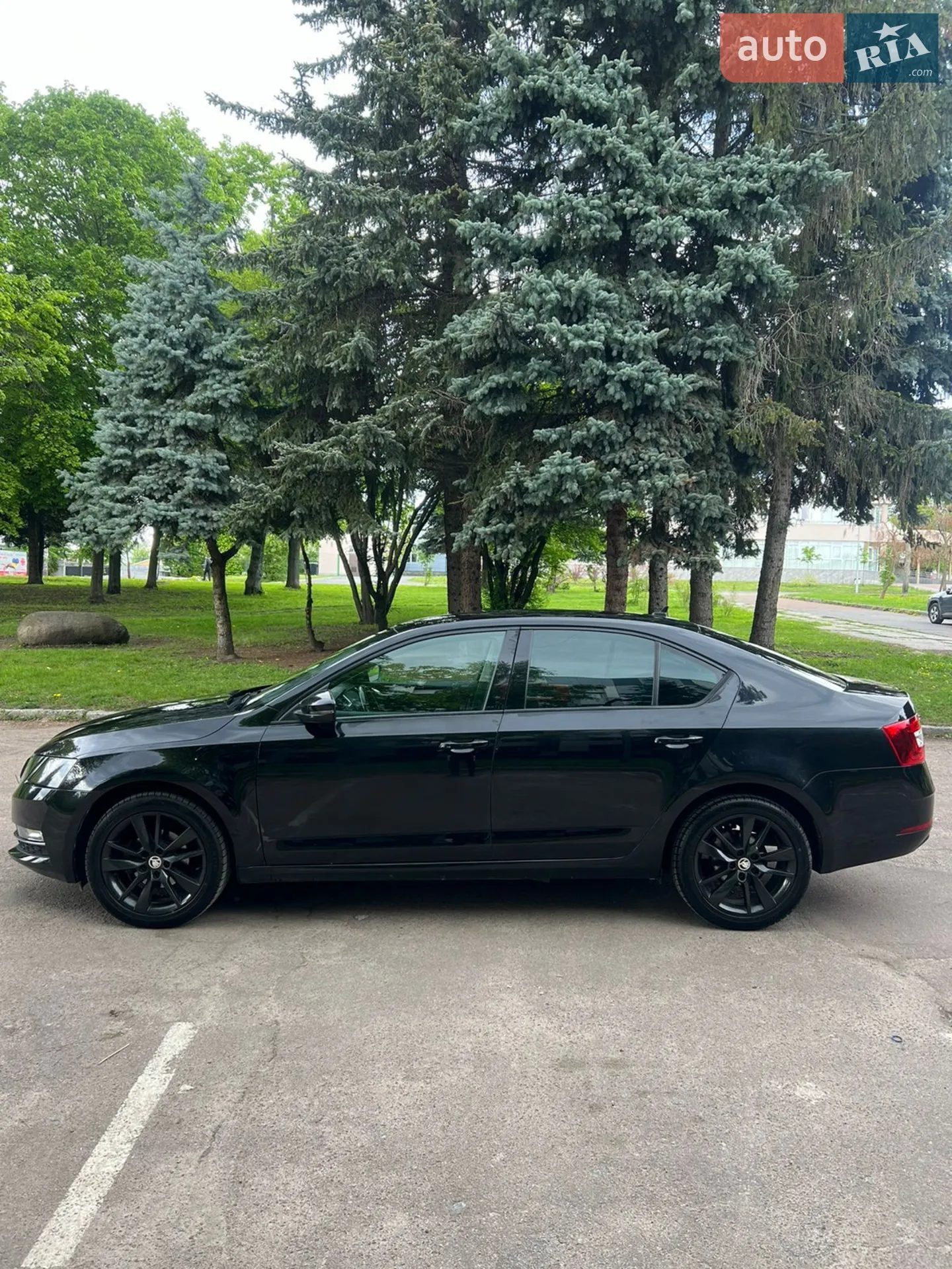 2019 Skoda Octavia - мініатюра 4