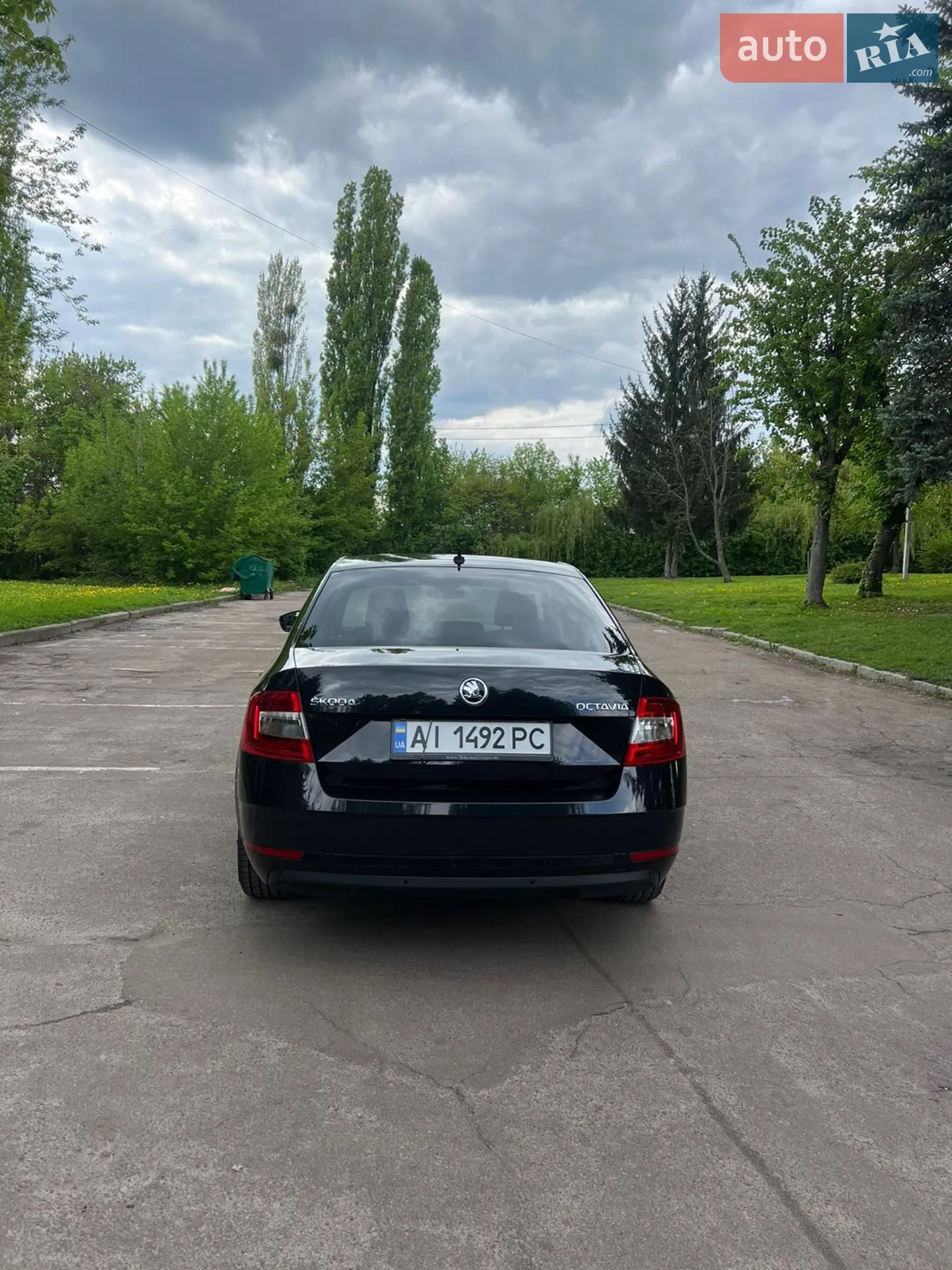 2019 Skoda Octavia - мініатюра 5