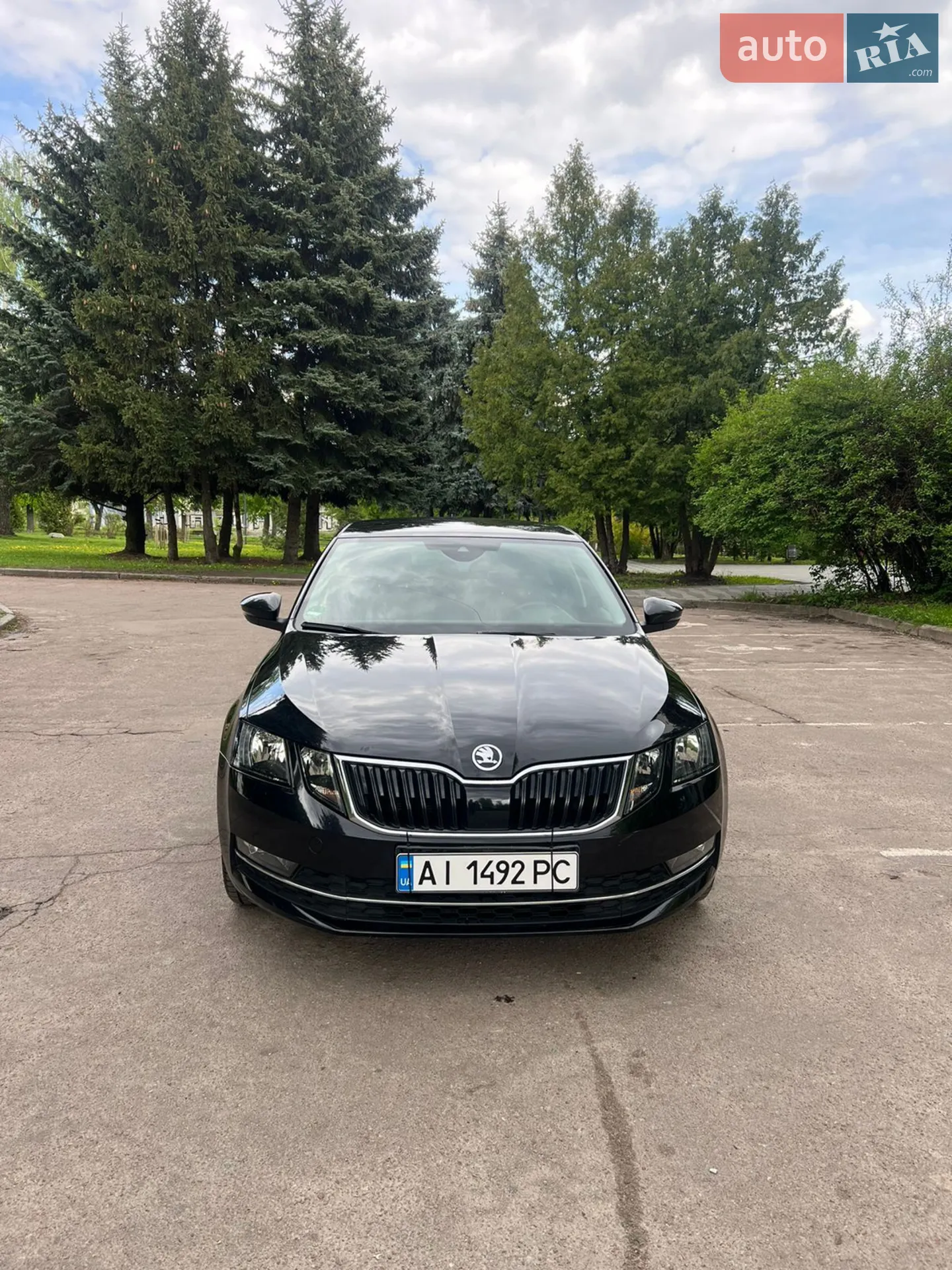 2019 Skoda Octavia - мініатюра 7
