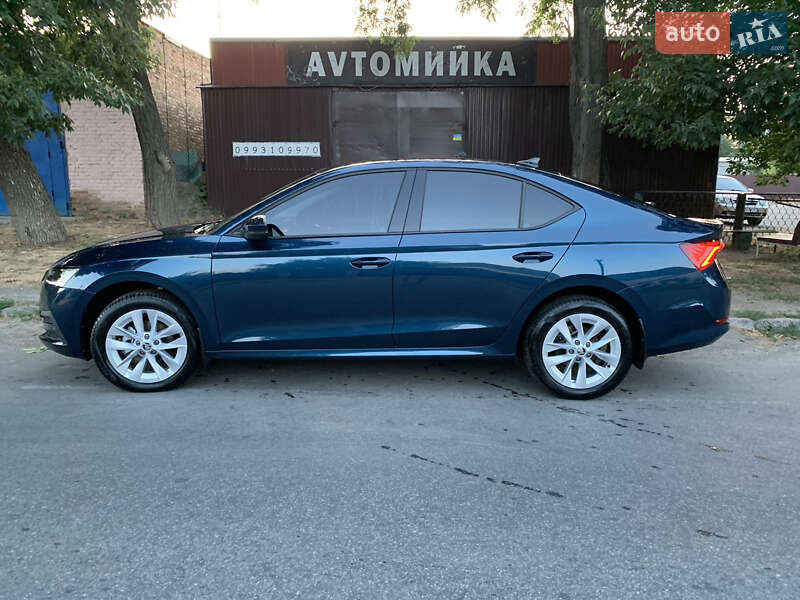 Лифтбек Skoda Octavia 2023 в Кобеляках фото 7 Лифтбек Skoda Octavia 2023 в Кобеляках