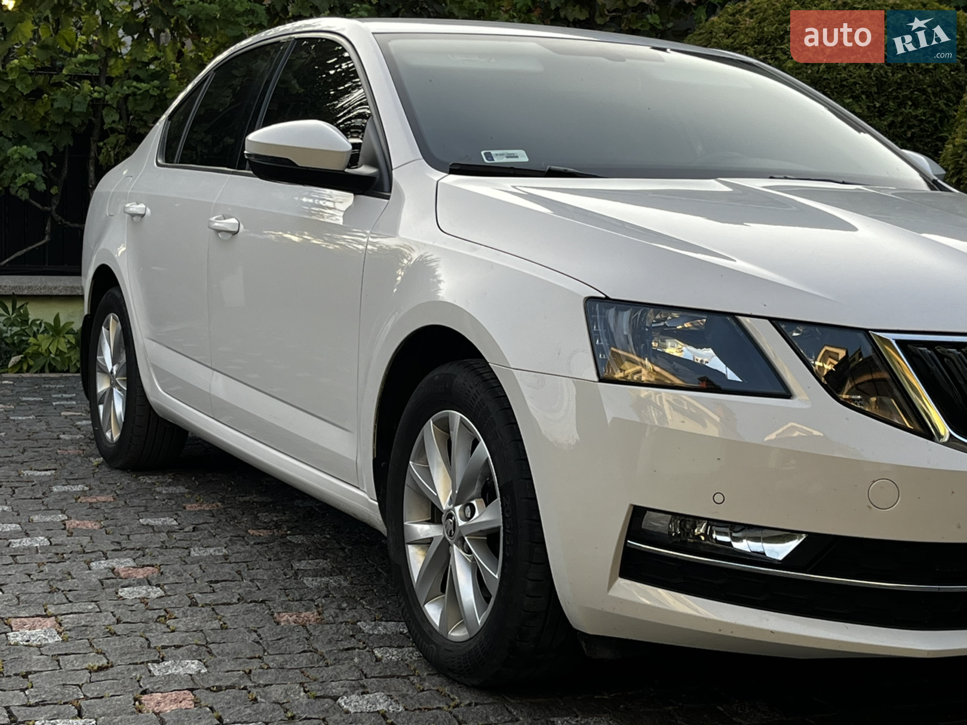 2018 Skoda Octavia - мініатюра 3