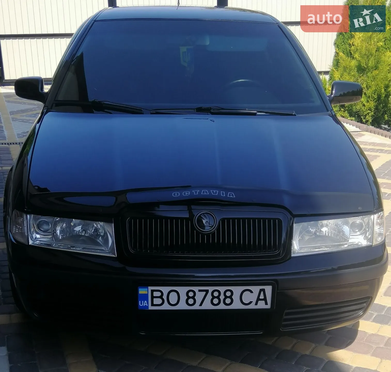 Skoda Octavia 2002 VIN TMBCX21U432691063 фото оголошення 19 з 117
