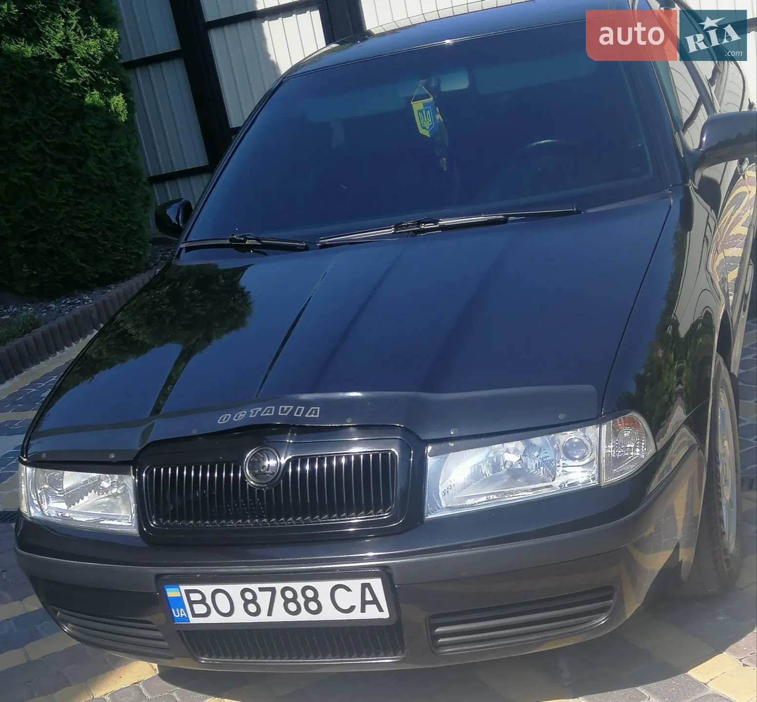 Skoda Octavia 2002 VIN TMBCX21U432691063 фото оголошення 18 з 117
