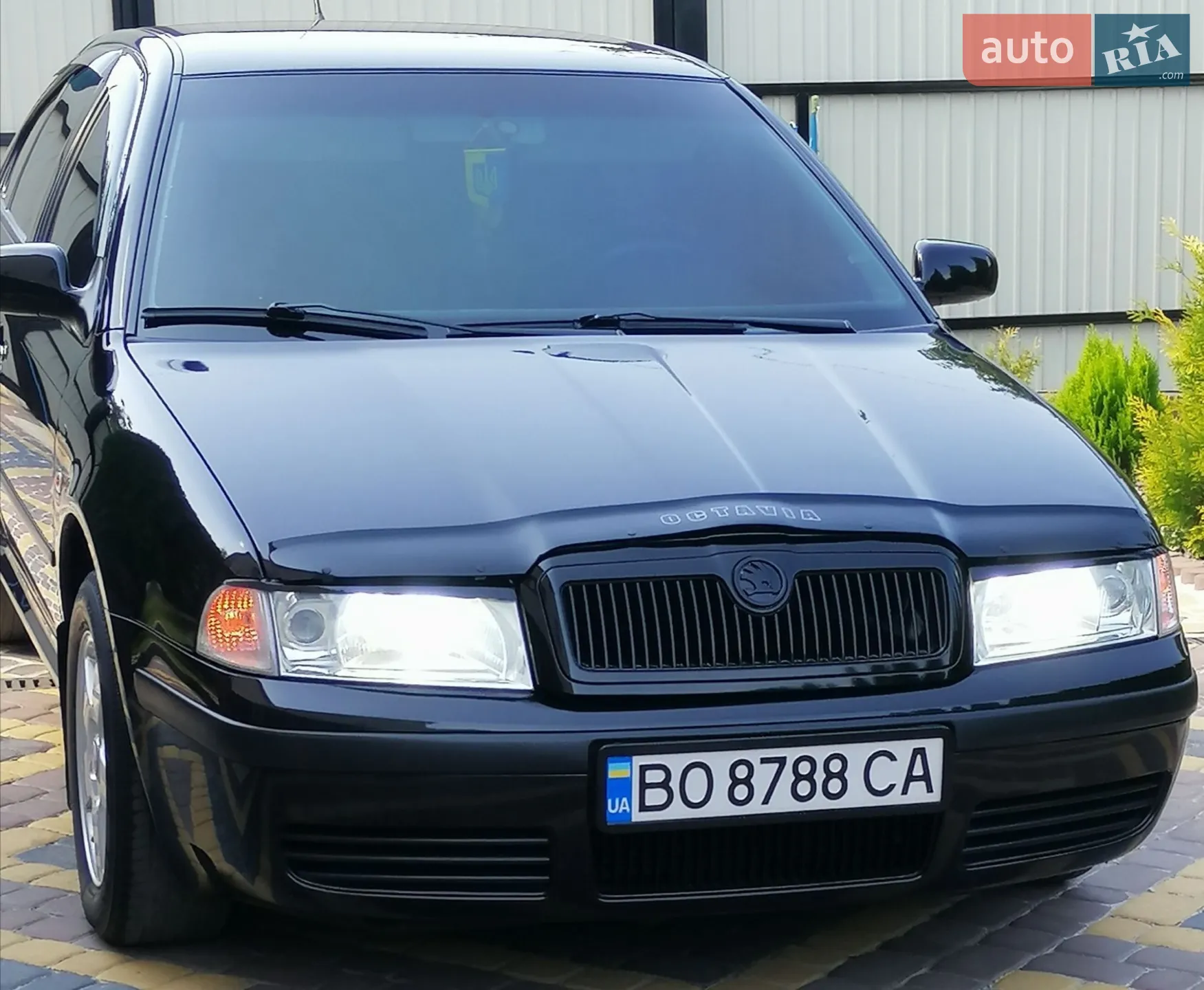 Skoda Octavia 2002 VIN TMBCX21U432691063 фото оголошення 21 з 117