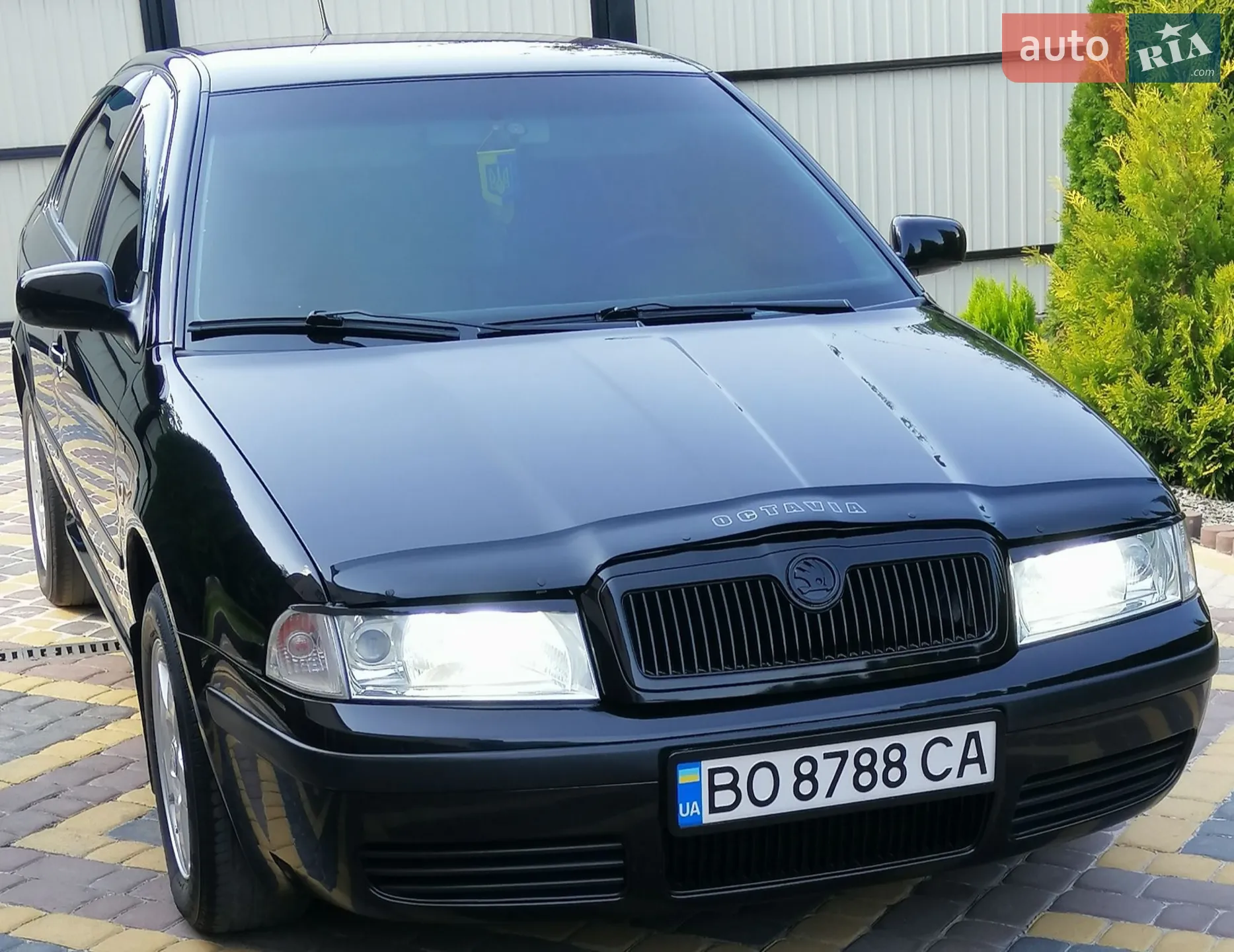 Skoda Octavia 2002 VIN TMBCX21U432691063 фото оголошення 27 з 117