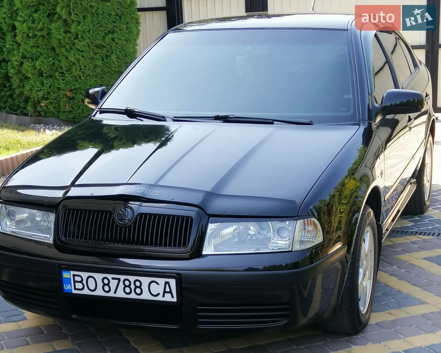 Skoda Octavia 2002 VIN TMBCX21U432691063 фото оголошення 31 з 117