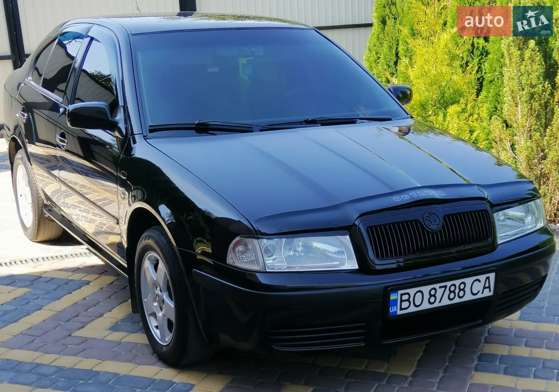 Skoda Octavia 2002 VIN TMBCX21U432691063 фото оголошення 32 з 117