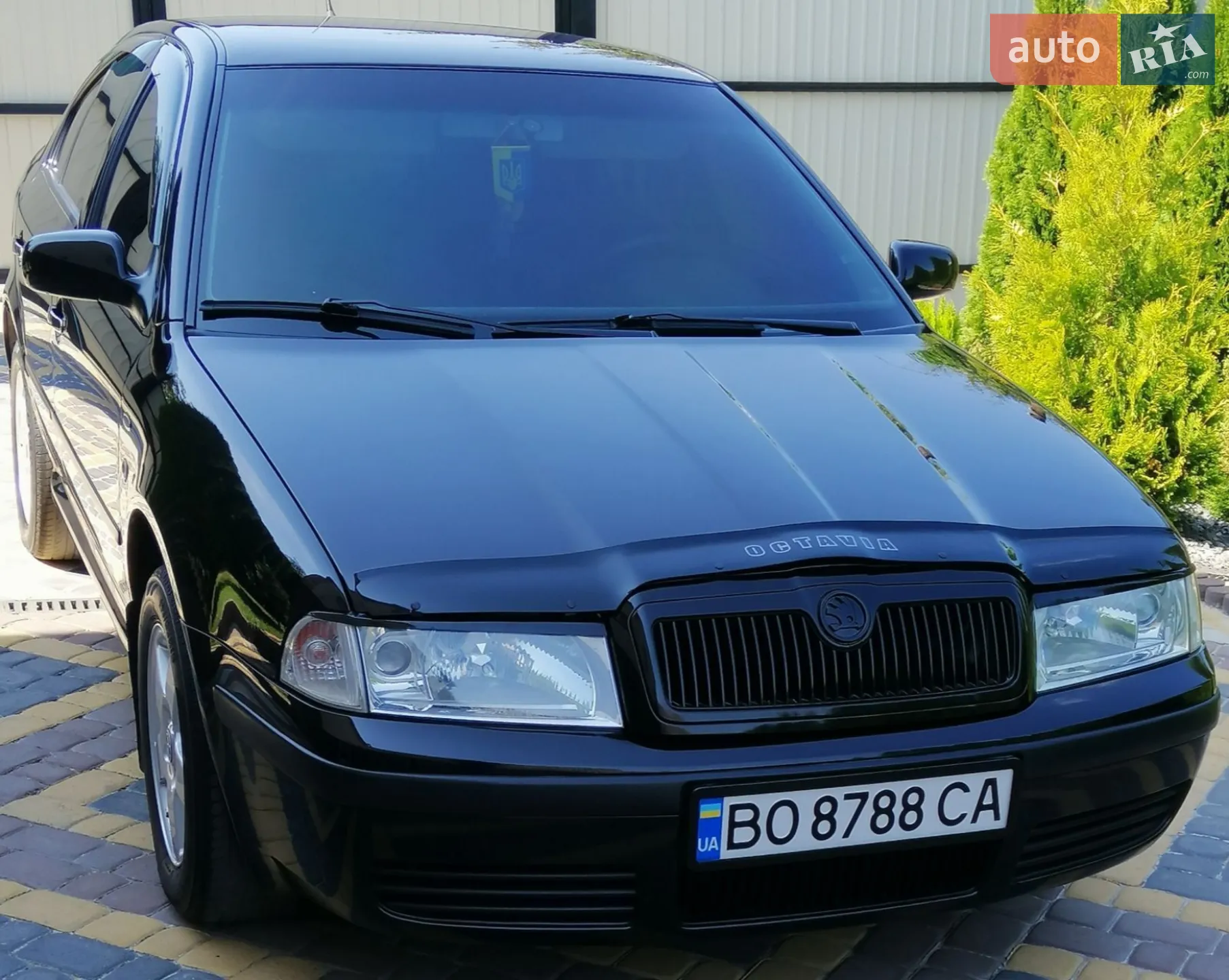 Skoda Octavia 2002 VIN TMBCX21U432691063 фото оголошення 33 з 117