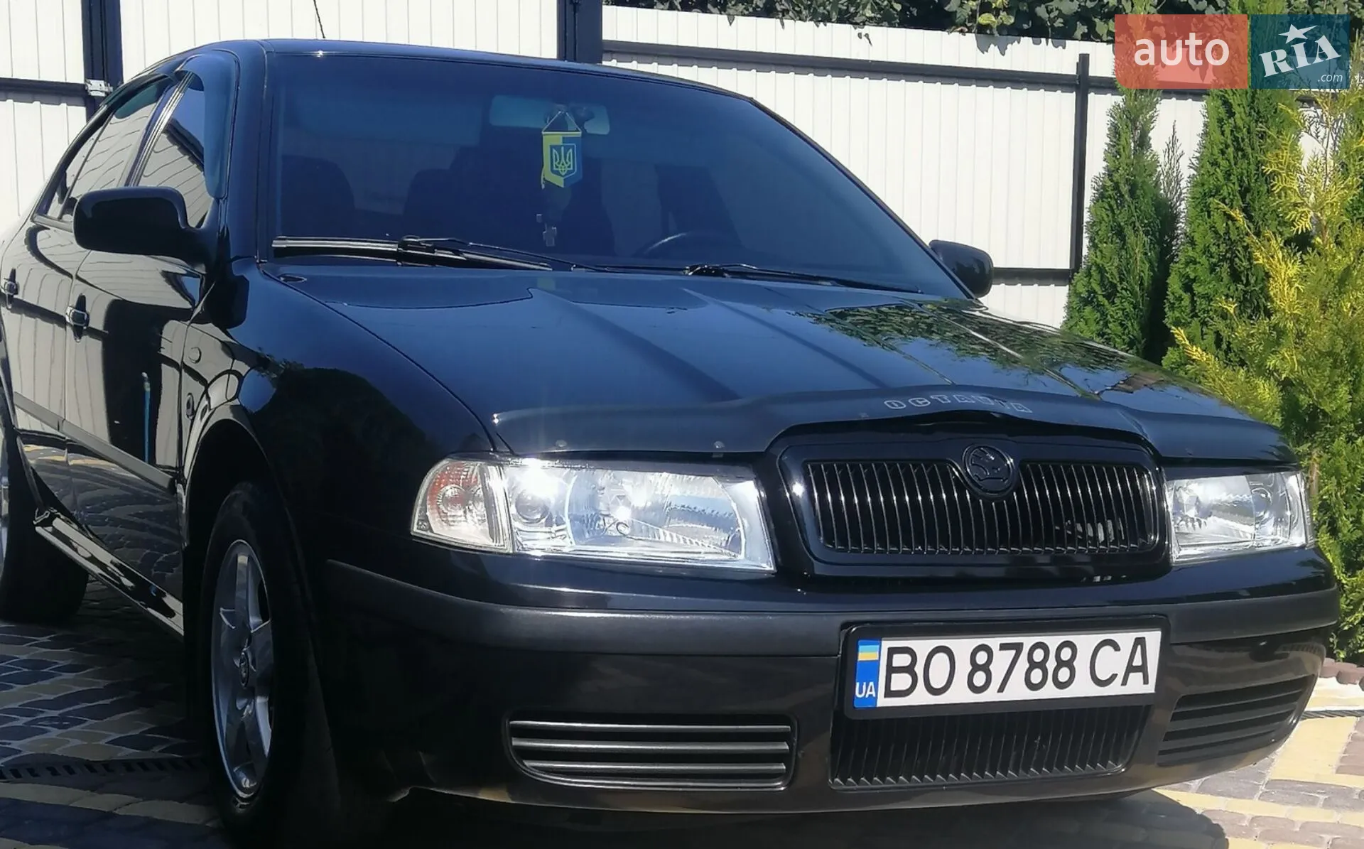 Skoda Octavia 2002 VIN TMBCX21U432691063 фото оголошення 36 з 117