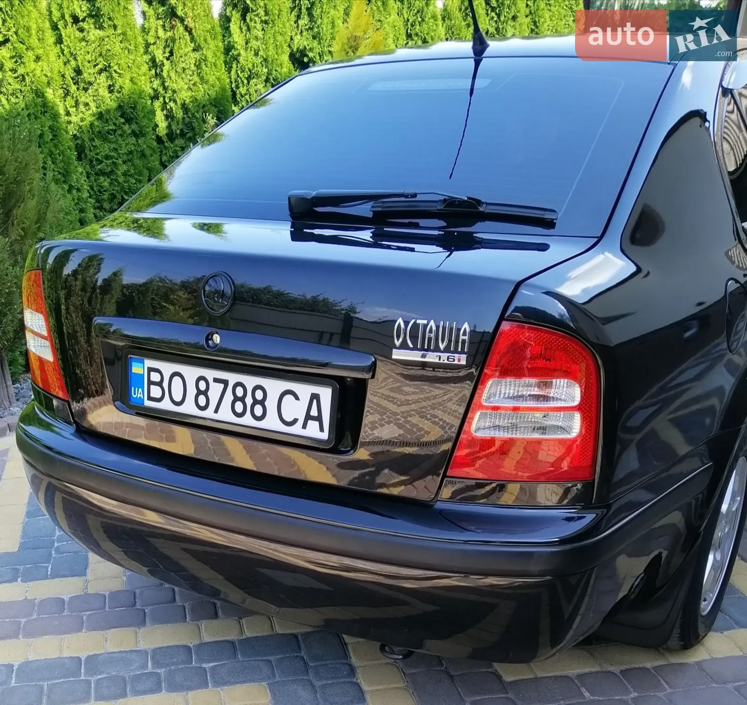 Skoda Octavia 2002 VIN TMBCX21U432691063 фото оголошення 40 з 117