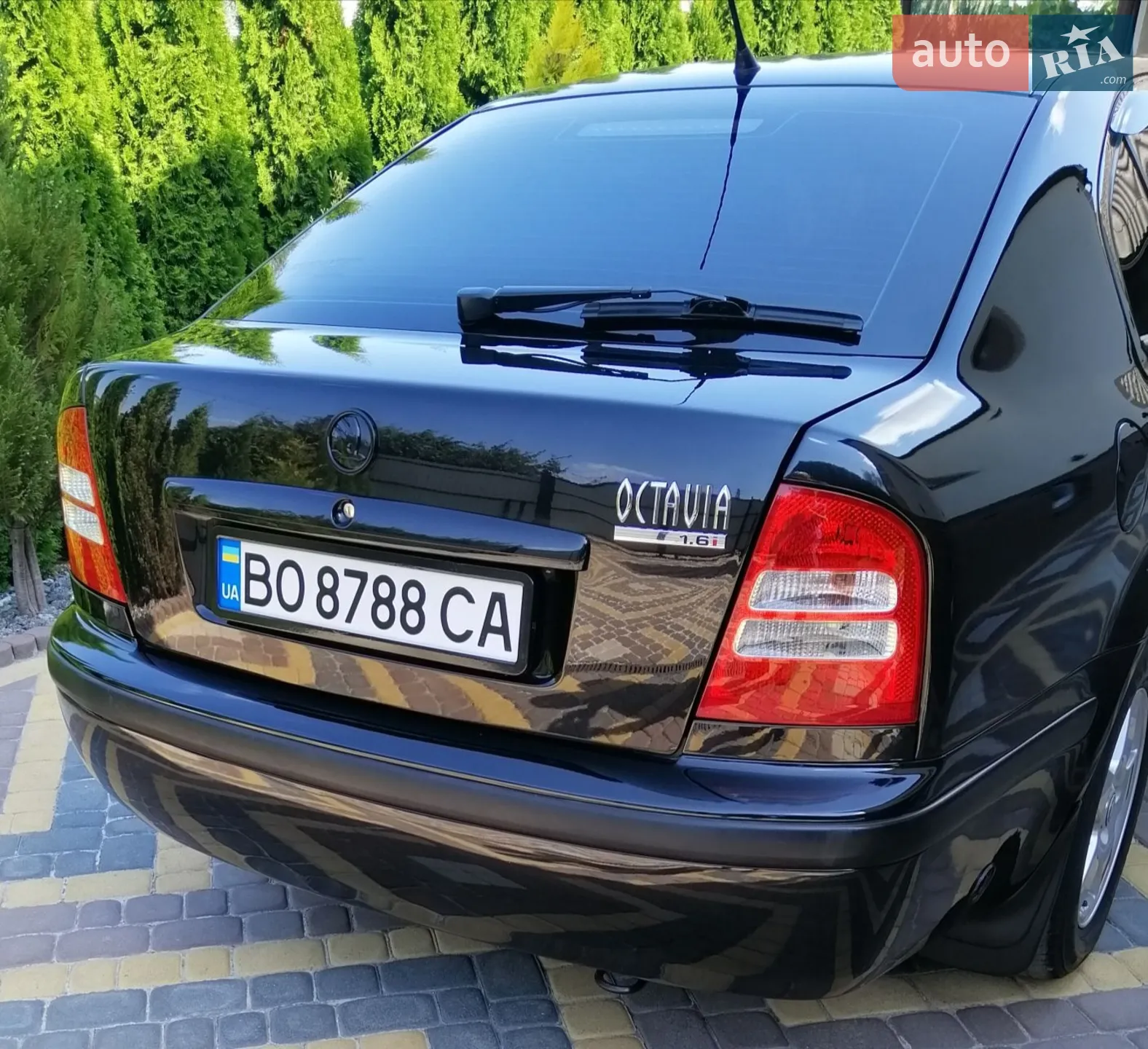 Skoda Octavia 2002 VIN TMBCX21U432691063 фото оголошення 42 з 117