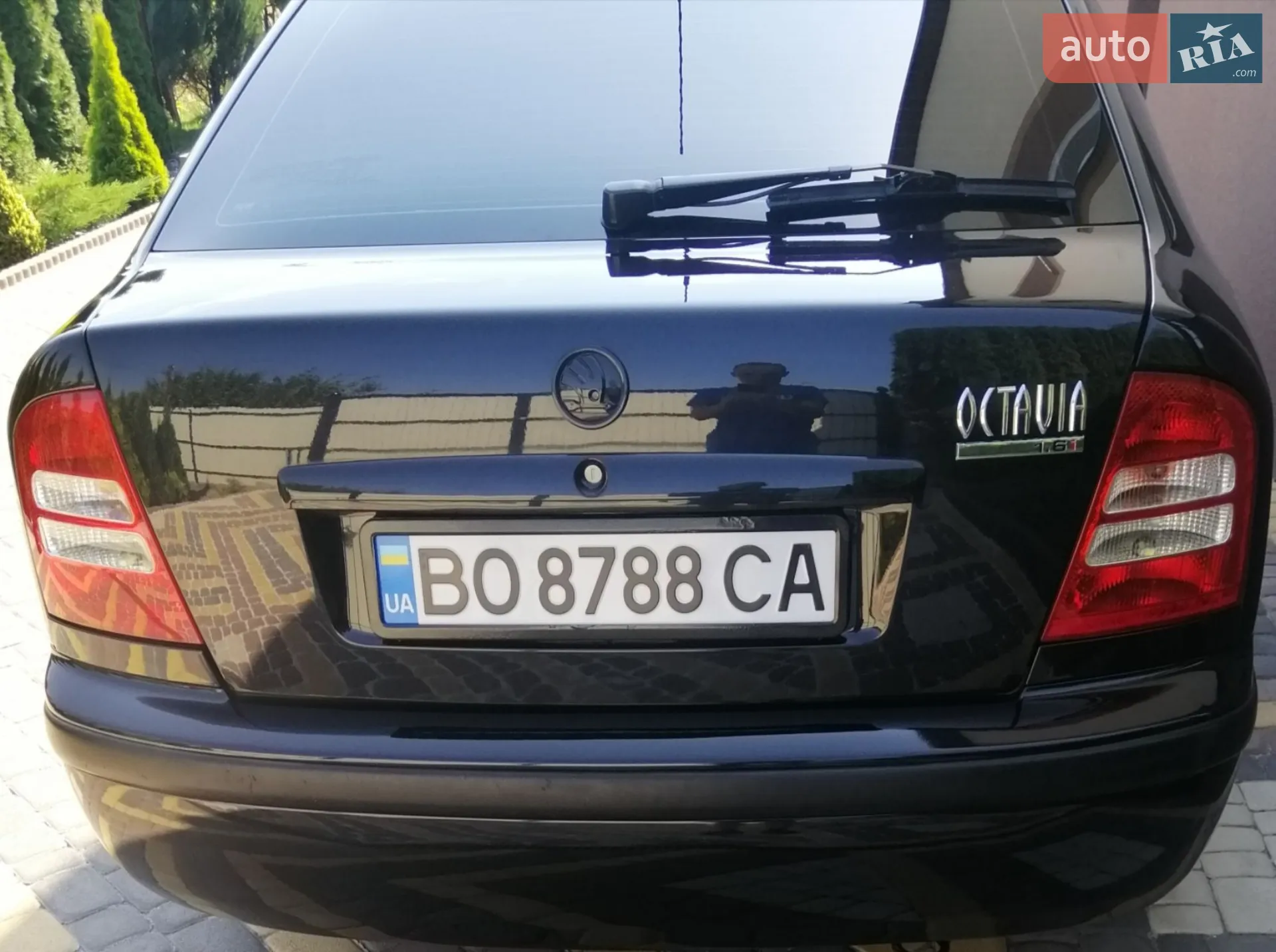 Skoda Octavia 2002 VIN TMBCX21U432691063 фото оголошення 46 з 117