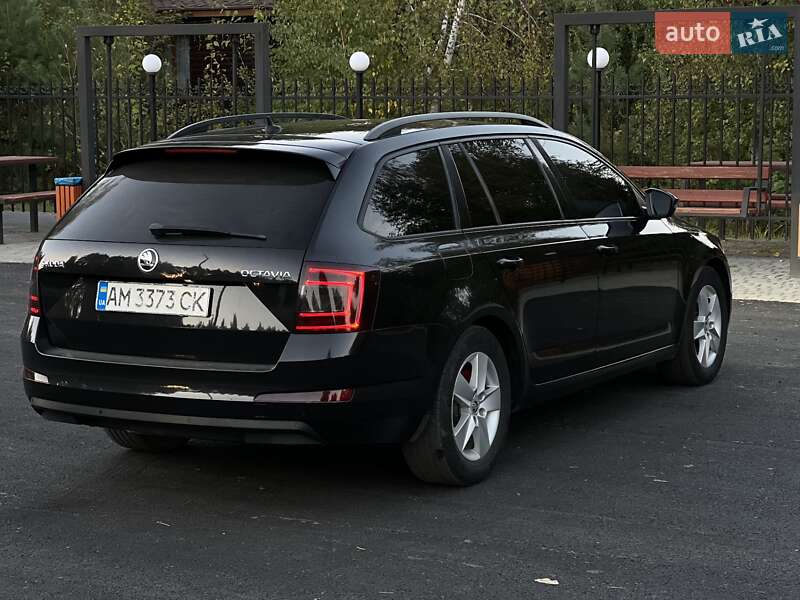 Универсал Skoda Octavia 2014 в Емильчине фото 39 Универсал Skoda Octavia 2014 в Емильчине