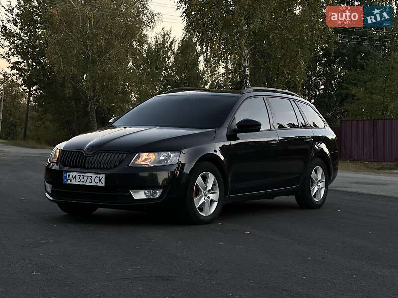 Универсал Skoda Octavia 2014 в Емильчине фото 34 Универсал Skoda Octavia 2014 в Емильчине