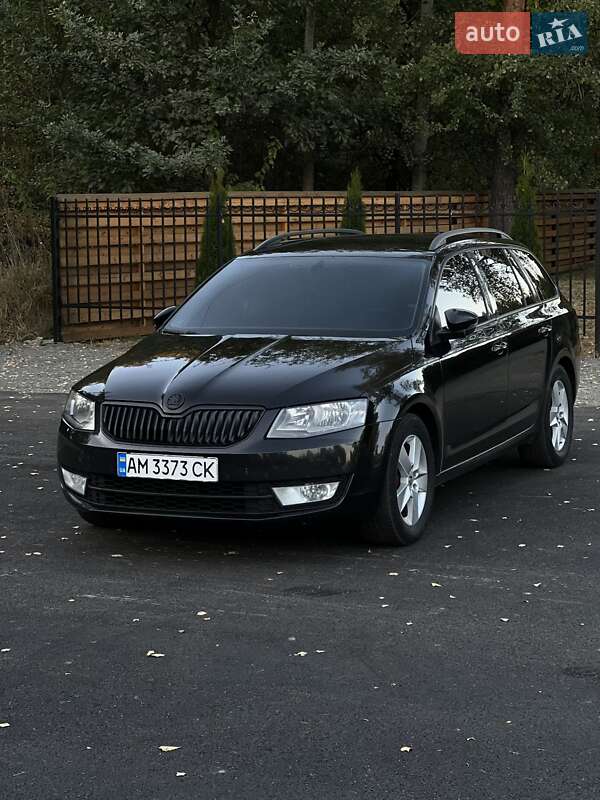 Универсал Skoda Octavia 2014 в Емильчине фото 45 Универсал Skoda Octavia 2014 в Емильчине