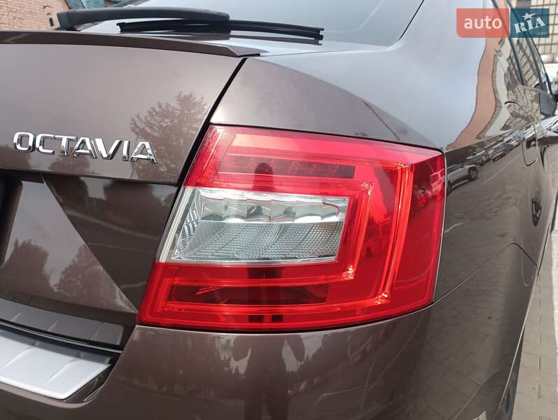 Лифтбек Skoda Octavia 2016 в Луцке фото 21 Лифтбек Skoda Octavia 2016 в Луцке